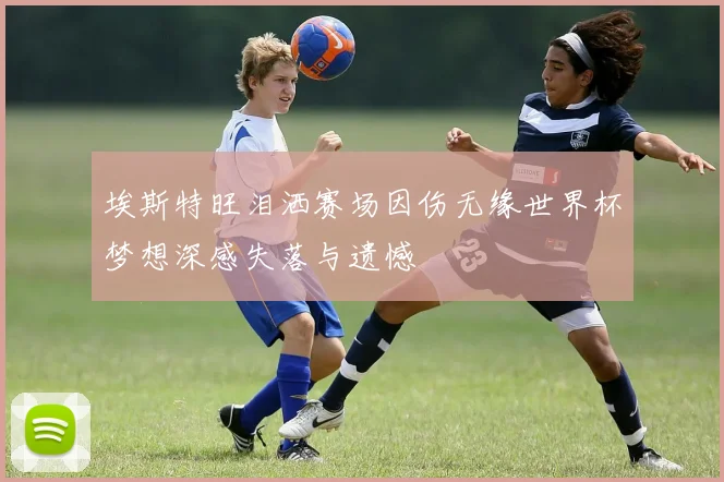 埃斯特旺泪洒赛场因伤无缘世界杯梦想深感失落与遗憾