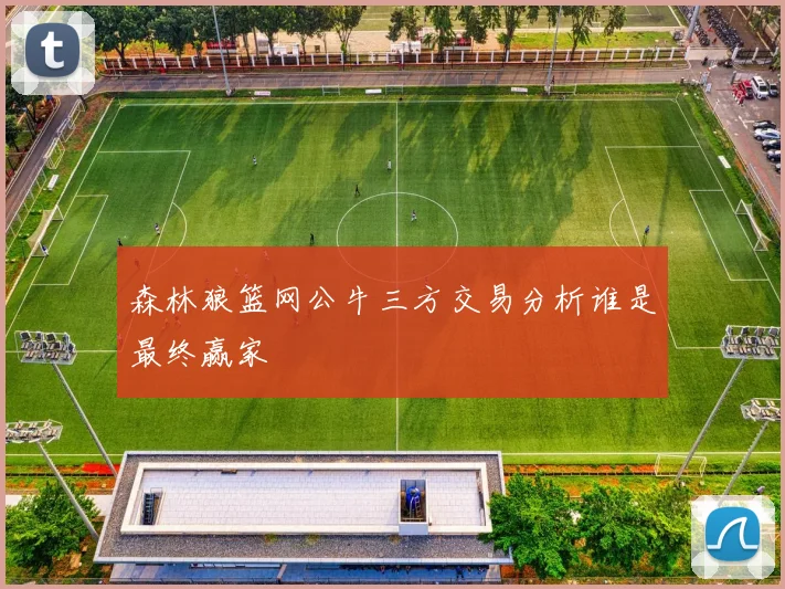 森林狼篮网公牛三方交易分析谁是最终赢家